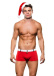Envy - Santa Hat And Shorts - Red/White - M/L 照片