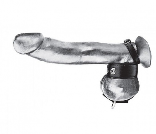 Blueline - Cock Ring With 1″ Ball Stretcher And Optional Weight Ring photo