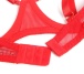 Ohyeah - Chain Heart Mesh Bra Set - Red - L 照片-22