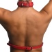 Strict - Female Chest Harness - Red - S/M photo-2