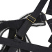 Ohyeah - Sexy Bow Bra Set - Black - L photo-12