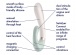 Satisfyer - Heat Wave 热感震动棒 - 薄荷绿 照片-4
