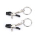 MT - Nipple Clamps w Ring photo