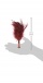 For teasing and titillating your way to ecstasy, the TANTRA ... Lelo - Tantra - Purple photo-6