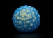 Lovetoy - Ocean's Toner Kegel Egg Set - Blue photo-5