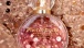PheroStrong - Popularity Pheromone Perfume for Women - 50ml 照片-6