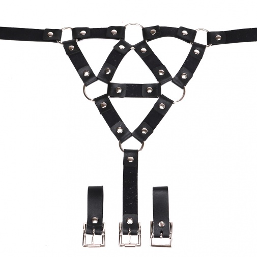 MT - Leather Body Harness 4 photo