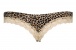 Tiny box. What’s inside of it? Incredibly hot piece of linge... Obsessive - Jungirl Thong - Beige/Brown - S/M photo-8