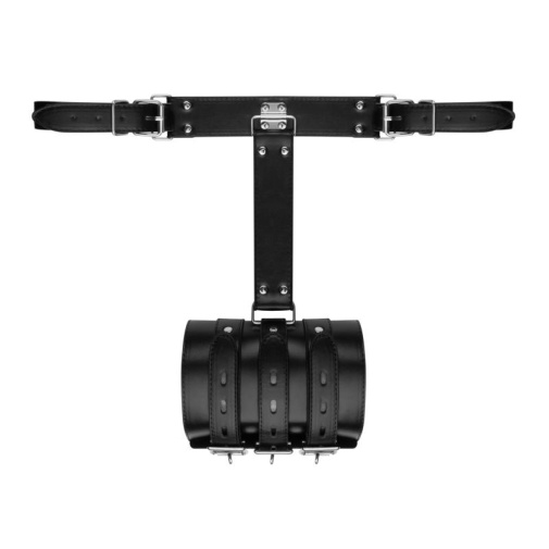 Bedroom Fantasies - Blissfully Bound Arm Restraint Set photo