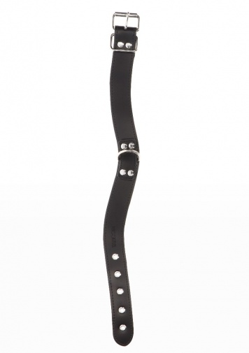Taboom - Elegant D-Ring Collar - Black photo