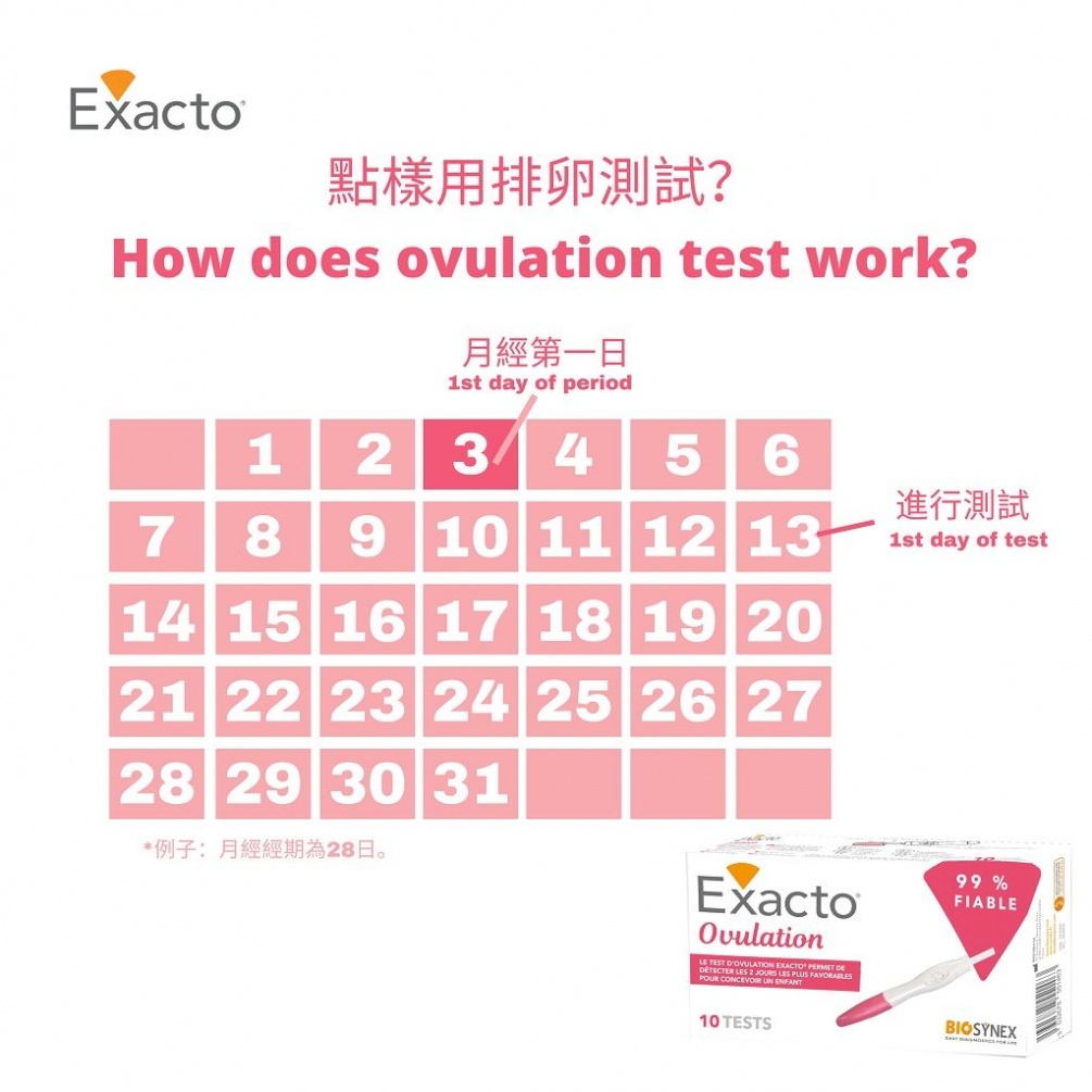 Exacto - Ovulation Test - 10 Test/Box photo-2