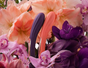 Summer Vibes with LELO: Premium Pleasure You Deserve