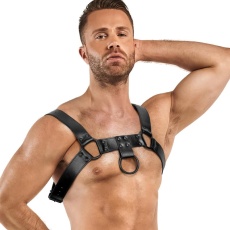 Bedroom Fantasies - Bruno Chest Harness - Black photo