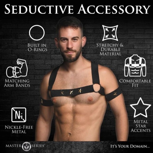 Master Series - Star Boy Male Harness - Black - L/XL photo