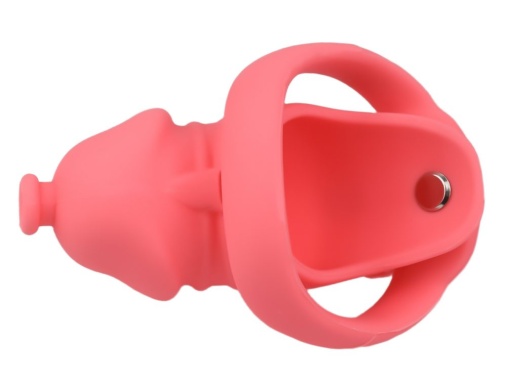 FAAK - Long Resin Chastity Cage - Red 照片