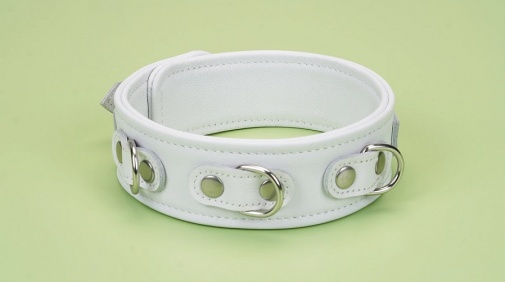 Liebe Seele - Collar w Leash - White photo