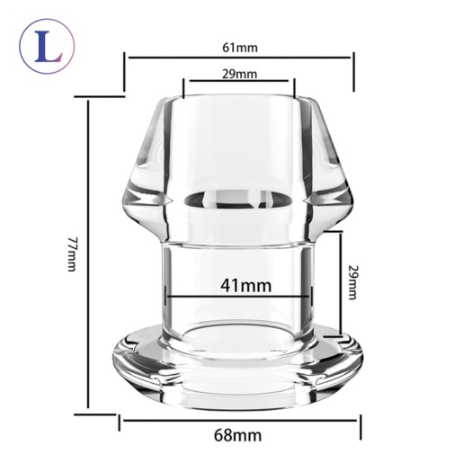 SMVIP - Hollow Tunnel Plug L - Clear photo