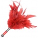For teasing and titillating your way to ecstasy, the TANTRA ... Lelo - Tantra - Red photo-3