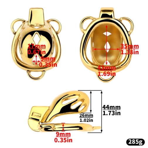 FAAK - Chastity Cage 184 w Belt & Plug - Gold 照片