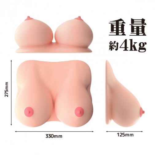 SSI - Kiwami Namachichi Breast 4kg photo
