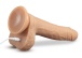 Dr. Skin - Dr. Grey Dildo 18cm - Vanilla 照片-8