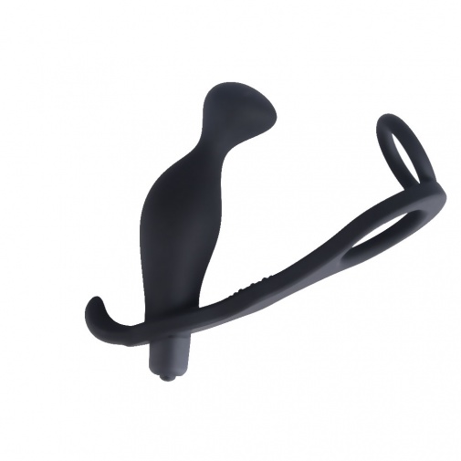 MT - 震動前列腺按摩器 照片