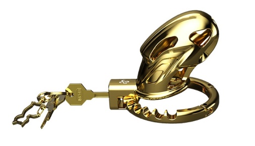 Sevanda - Outlaw Chastity Cage w Urethral Sound - Gold photo