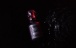 PheroStrong - Show Pheromone Perfume for Men - 50ml 照片-4