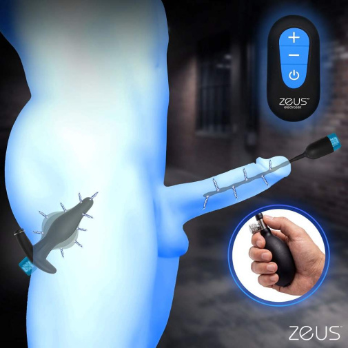 Zeus Electrosex - Inflatable Plug & Urethral Sound E-Stim Kit 照片