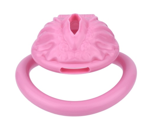 FAAK - Resin Pussy Chastity Cage - Pink 照片