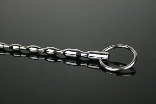 XFBDSM - Urethral Sound - L photo