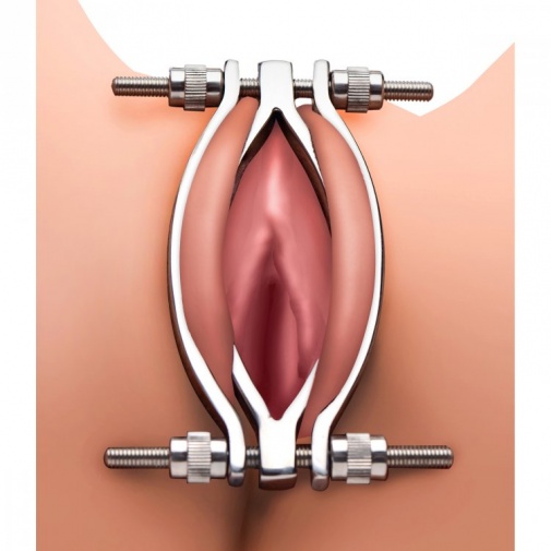 Master Series - Stainless Steel Adjustable Pussy Clamp photo