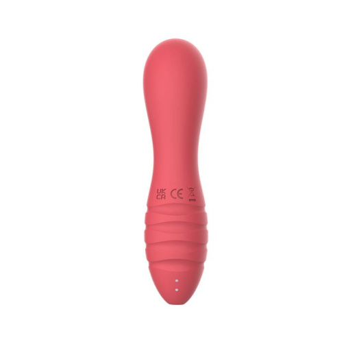 Nasstoys - Sorbet Mini Vibrator - Ruby Red photo