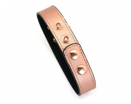 Liebe Seele - Rose Gold Collar w Nipple Clamps photo