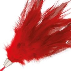 Darkness - Feather 17cm - Red photo