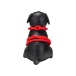 Prowler - Roped Up Rover Puppy - Black photo-4