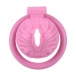 FAAK - Resin Pussy Chastity Cage - Pink 照片