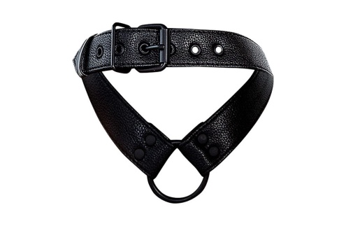 Cut4men - C-Ring Harness w Collar - Black photo