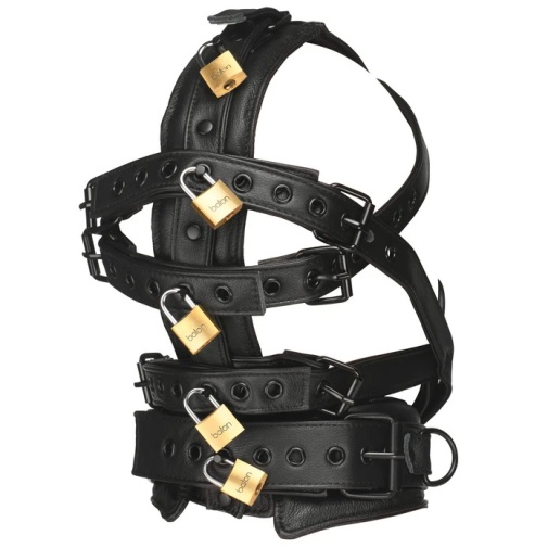 Master Series - Lockable Head Harness - Black 照片