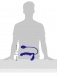 NS Novelties - Strap On Mischief - Blue photo-6
