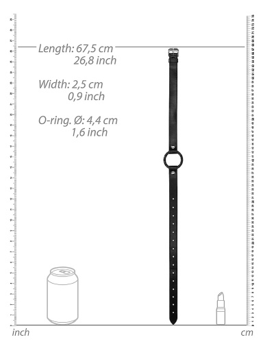 Ouch - O形口枷 照片