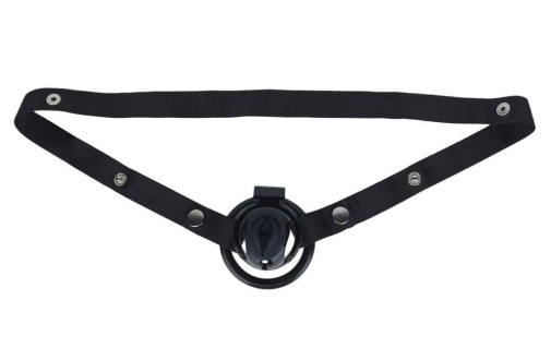 FAAK - Resin Chastity Cage w Catheter & Belt photo