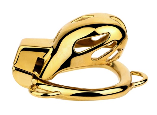 FAAK - Chastity Cage 184 w Belt & Plug - Gold 照片