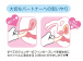 Findom - Nail Support Finger Condom 12's Pack photo-5