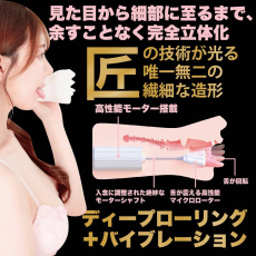 SSI - Fuua Kaede Vibro Blowjob Masturbator 照片