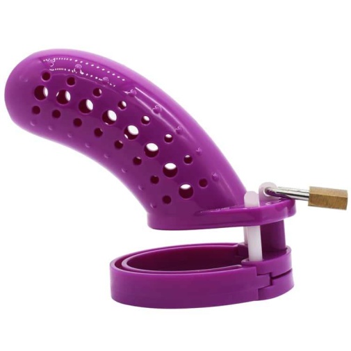 FAAK - Plastic Chastity Cage 23 - Purple 照片