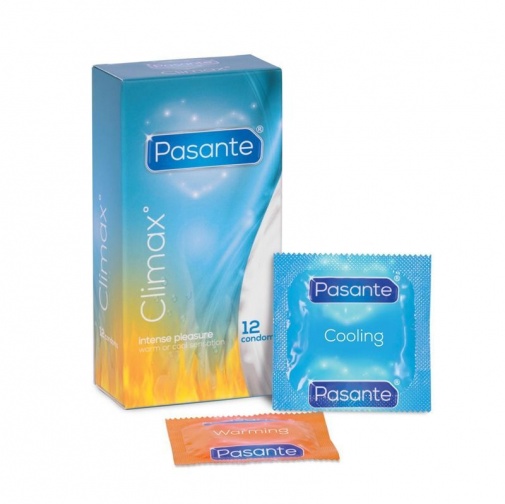 Pasante - 高潮避孕套 12片装 照片