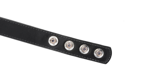 Liebe Seele - Metallic Shade Collar w Nipple Clamps - Black 照片