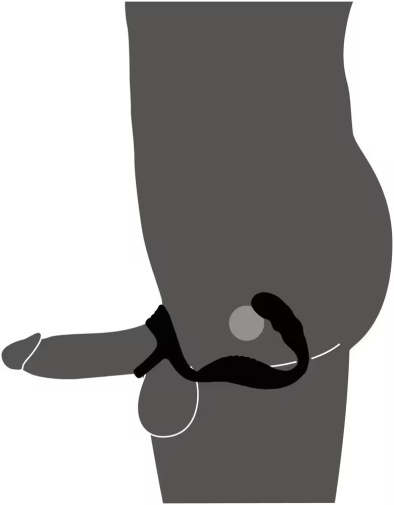 Rebel - Cock Ring w Prostate Plug - Black photo