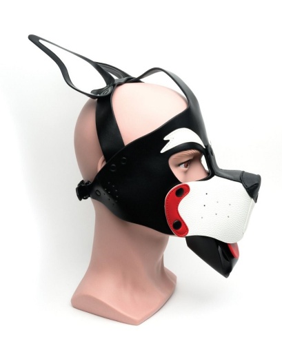 665 - Playful Puppy Face Mask - Black/White 照片